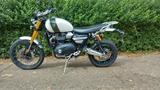 Triumph Scrambler1200xe - Offers
