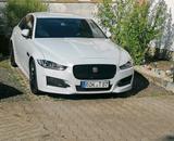 Jaguar XE R-Sport - scheckheftgepflegte Jaguar Daimler