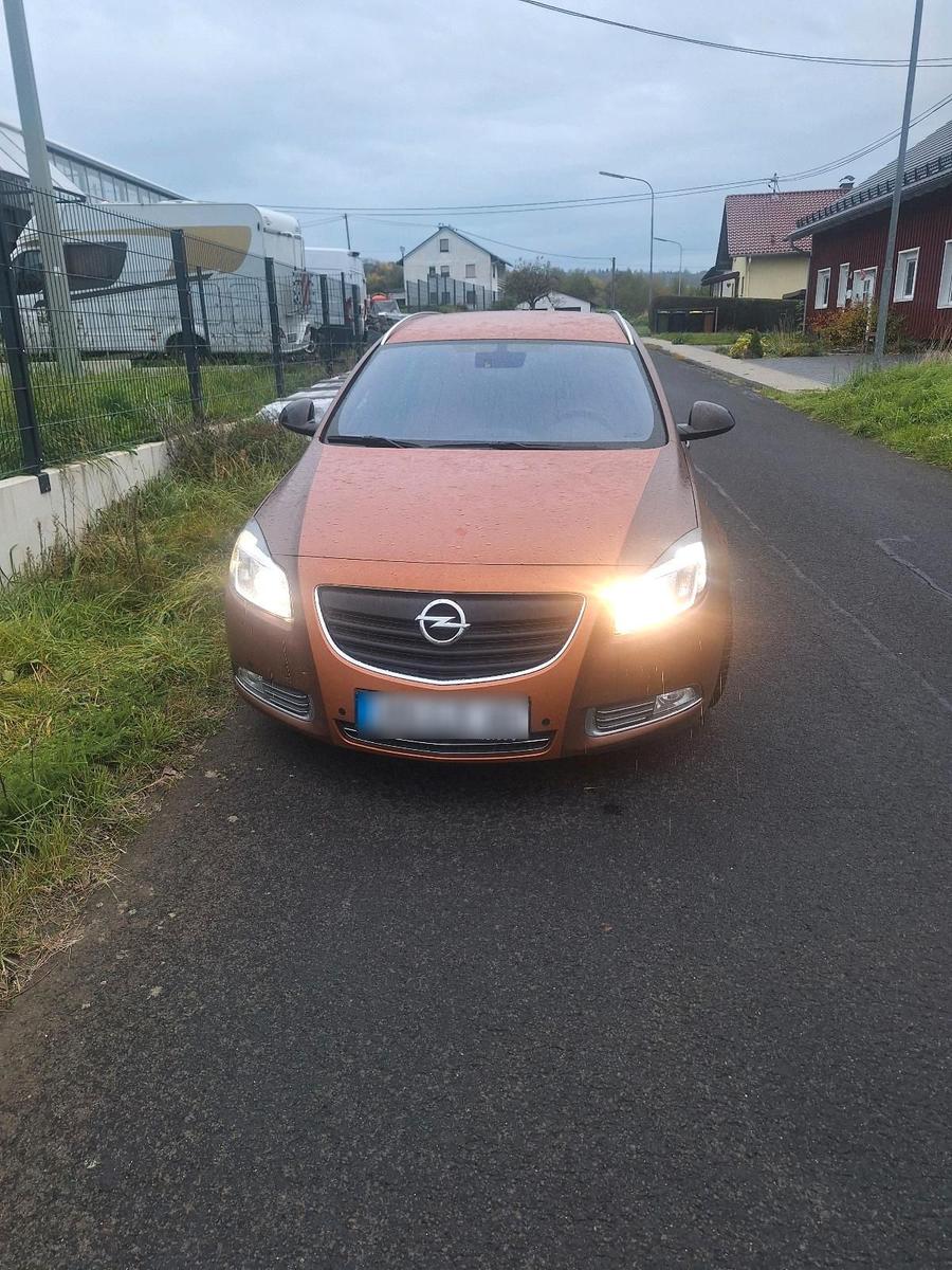 Opel Insignia 2010 — вигляд ззаду