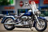 Harley-Davidson FLSTSE3 CVO Softail Convertible - Motorräder in Münster