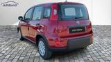 Fiat Panda 1,0  Hybrid (MHEV) Pandina Base NBA PDC SH - Fiat Panda in Leipzig