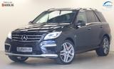 Mercedes-Benz ML 63 AMG 5.5 557PS Performance designo Pano H&K - Mercedes-Benz ML 63 AMG Gebrauchtwagen