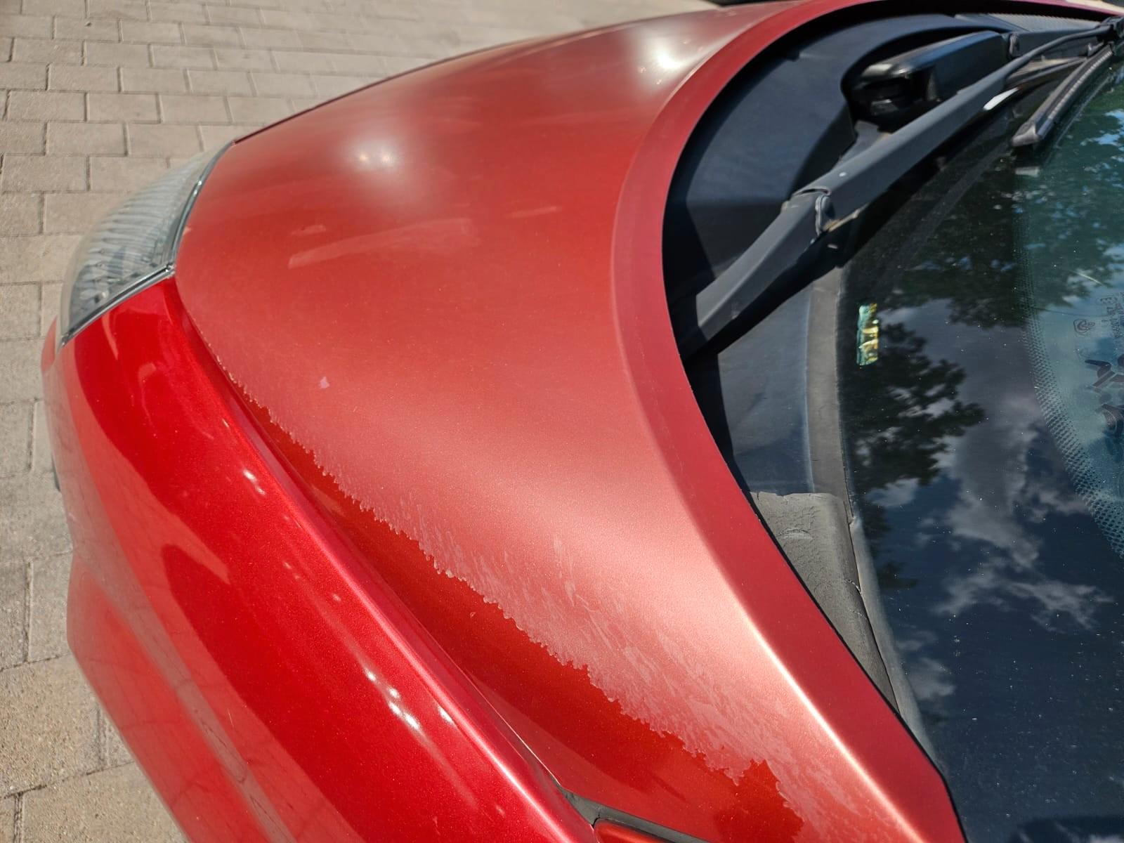 Renault Scenic 2006 — photo 22