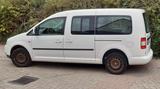 Volkswagen Caddy Maxi, 7 Sitzer, 2. Hand, gepflegt - Volkswagen Caddy Maxi aus 2009