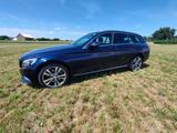 Mercedes-Benz C 250 d 4MATIC AVANTGARDE STANDHEIZUNG COMAND