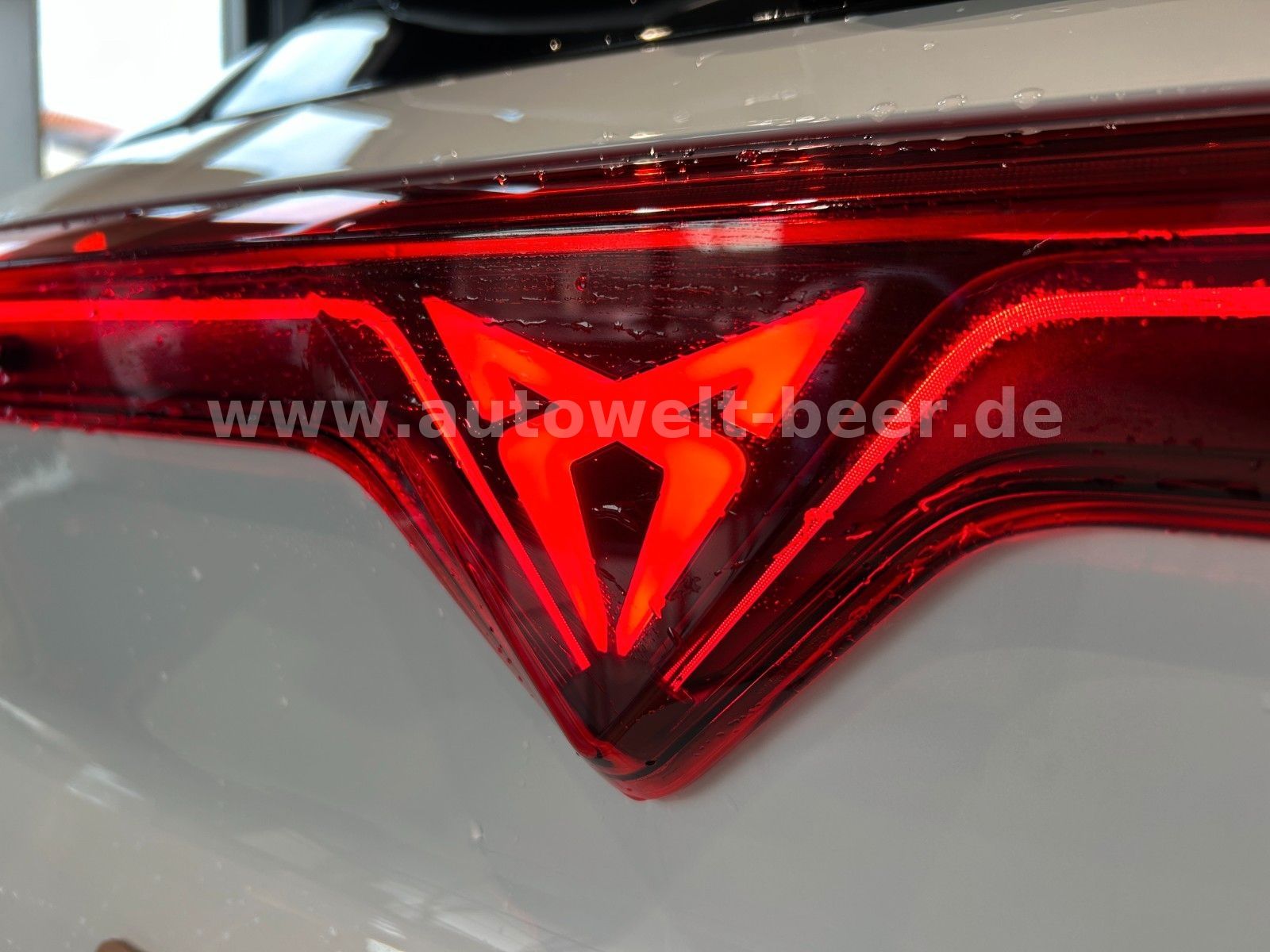 Cupra Terramar - Bild 28