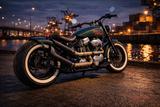 Harley-Davidson Softail Evo Springer Custom - Offers