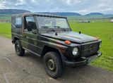 Mercedes-Benz G 250 Wolf - Mercedes-Benz G 250: Wolf