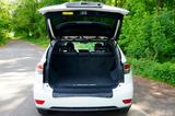 Lexus RX 450 450h F SPORT F SPORT - Lexus RX-Serie Gebrauchtwagen