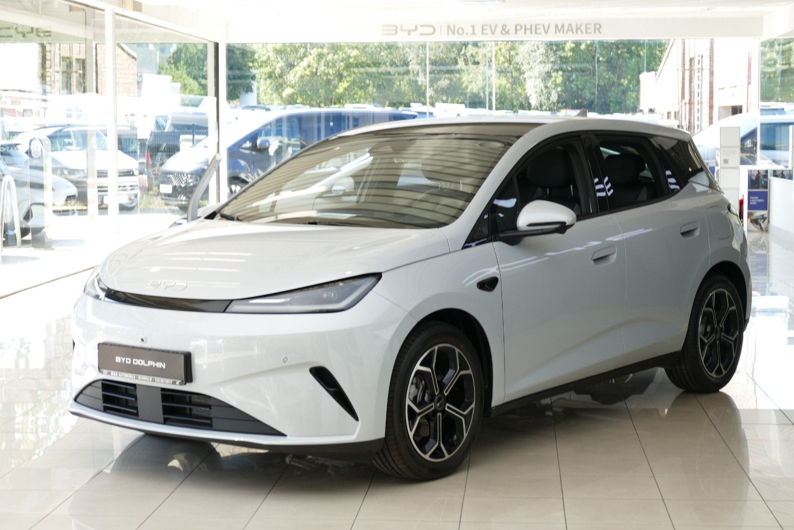 BYD DOLPHIN
