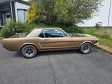 Ford Mustang - Ford Mustang Gebrauchtwagen in Bielefeld