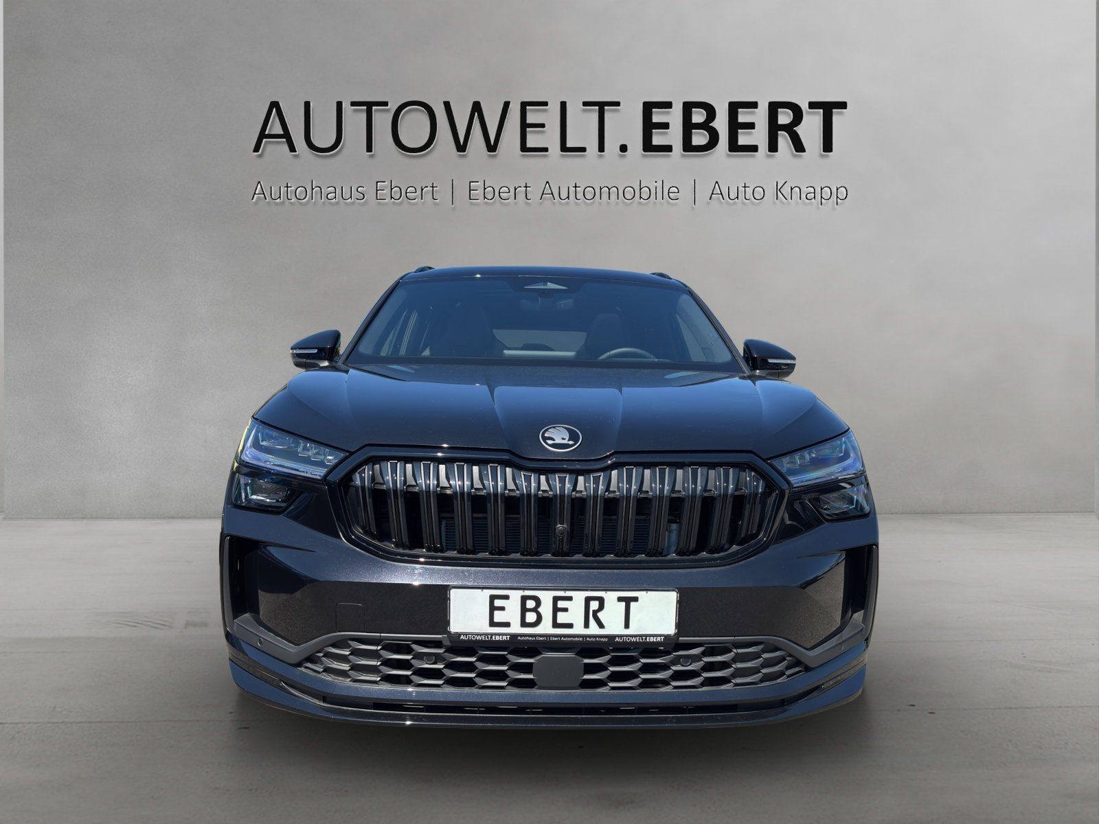 Fahrzeugabbildung SKODA Kodiaq Sportline 1,5 TSI m-HEV 110 kW DSG