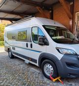 Bravia Swan636 - Bravia Kastenwagen