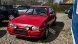 Ford Escort Panther | Sammlerstück | - gebrauchte Ford Escort aus dem Jahr 1987