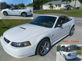 Ford Mustang GT - 4,6 ltr. V8 Motor - Ford Mustang: Motor