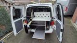 Volkswagen T 6.1  DSG Automatik,150 PS,ZGG 3200kg,4 Sitze - VW T3