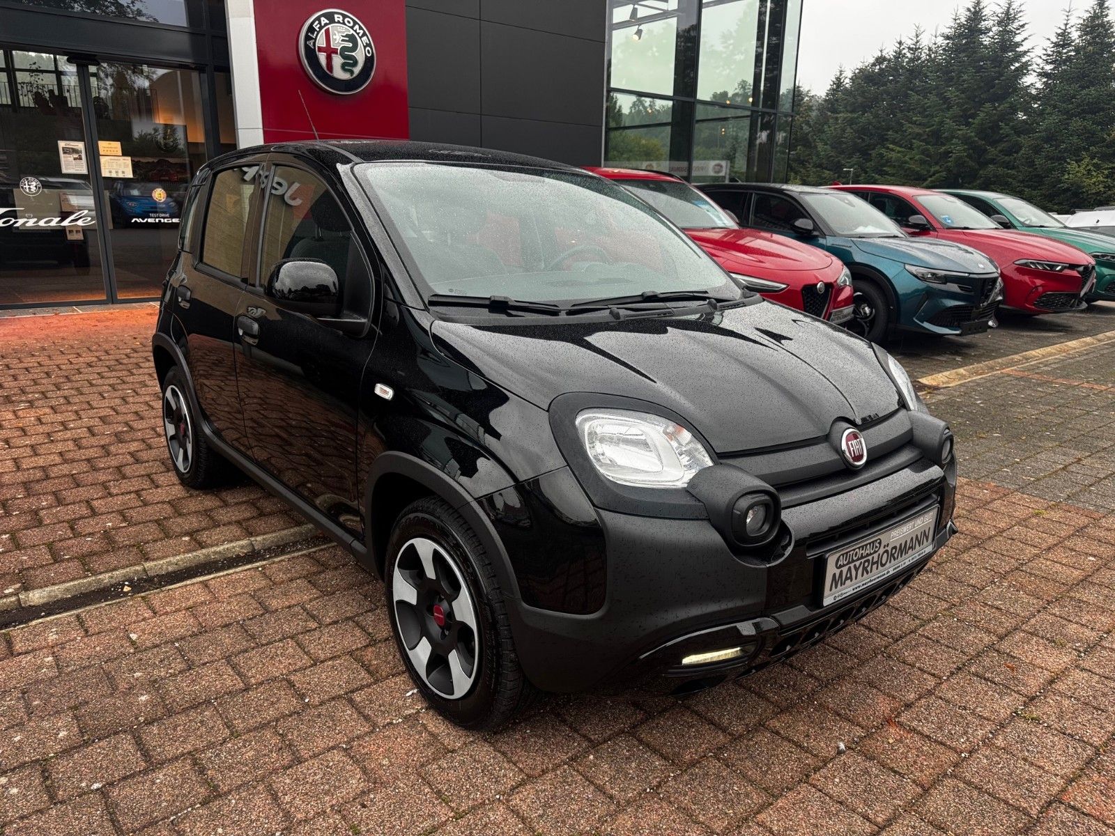 Fahrzeugabbildung Fiat Panda 1.0 GSE Hybrid Cross Klima