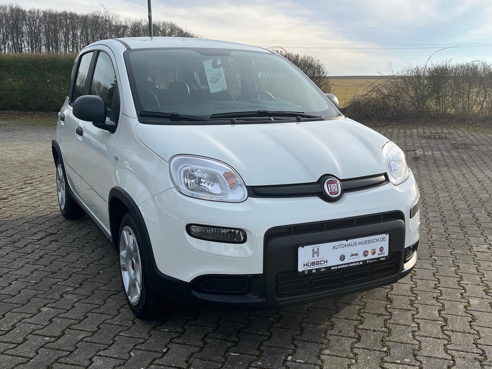 Fiat Panda Base / Radio, Bluetooth, Klima, elektr. FH