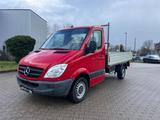 Mercedes-Benz Sprinter II Pritsche 313 CDI*1.HAND*TÜV NEU* - Mercedes-Benz Sprinter aus 2011: Van
