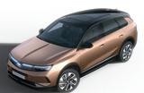 Opel Grandland 1.2 GS Pano HUD 360° Kamera ACC - Opel Grandland (X) Neuwagen