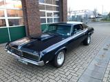 Ford Mercury Cougar GT 351 V8 - Ford Mercury mit Benzin-Antrieb