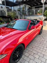 Ford Mustang 5.0 Ti-VCT V8 GT Auto GT - Ford Mustang mit Benzin-Antrieb: Cabrio, 5.0