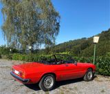 Alfa Romeo Spider - Alfa Romeo aus 1981