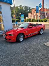 Ford Mustang - Ford Mustang Gebrauchtwagen in Wuppertal