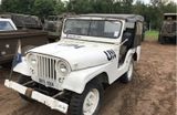 Jeep Willys M38 Nekaf