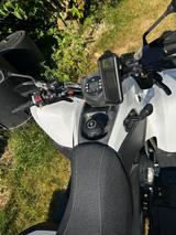 Aeon Cobra - AEON QUAD