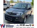 Fiat Panda Base 1.0 Mild Hybrid EU6d MY22 GSE - Fiat Panda in Hamburg