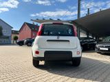 Fiat Panda Neues Modell 1.0 *5 Sitzer Klima PDC DAB* - Fiat Panda: Sitzer