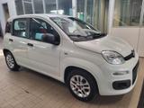 Fiat Panda 1.2 Young PREZZO REALE!! - Fiat Panda Young mit Benzin-Antrieb