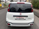 Fiat Panda Cross HYBRID*Allwetterreifen*PDC* - Fiat Panda in Gelsenkirchen