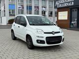 Fiat Panda 1.2 More *1.HAND*TÜV/AU NEU*KLIMA*PDC*TOP - Fiat Panda: 2t