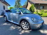 Volkswagen New Beetle Cabriolet 1.6 Highline/Leder, Klima - Volkswagen New Beetle in Düsseldorf