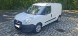 Fiat Transporter Doblo Cargo Kastenwagen MAXI Basis - Fiat: Transporter