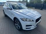 Jaguar F-PACE Portfolio4 WPanoramdadach/1 Jahr Garantie - Jaguar F-Pace in Berlin