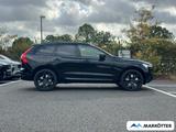 Volvo XC60 T8 AWD Plus Black Edition Gewerbeaktion - Volvo XC60: Schwarz, Head-Up Display