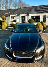 Jaguar XF 30d R-Sport 300 PS - Jaguar: X300