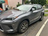 Lexus NX 300 300h - - Lexus: Nx