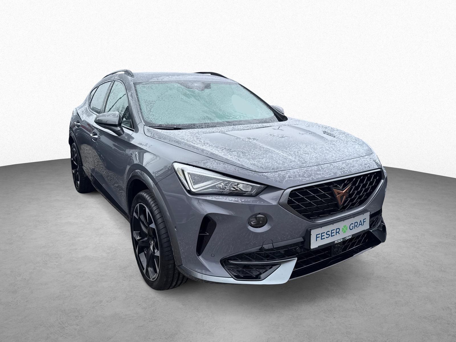 Cupra Formentor 2.0 TSI DSG 4Drive|AHK|Full Link|RFK