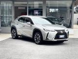 Lexus UX 2.0 Hybrid 152CV E6 Automatica - 2022 - Lexus UX aus 2022
