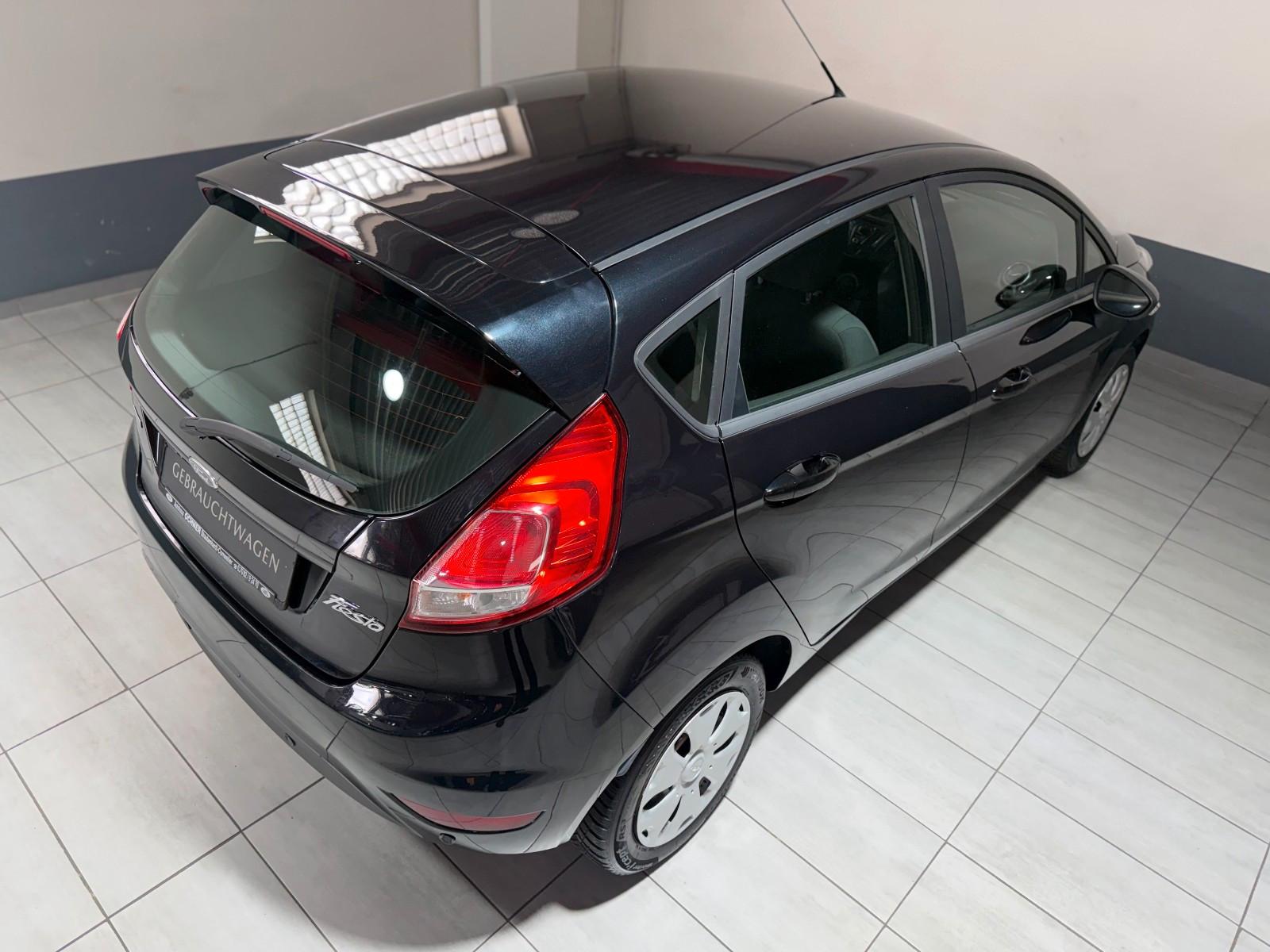 Ford Fiesta Edition Winterpaket USB PDC