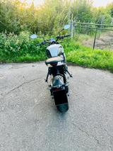 Triumph Trident 660 | Garantie bis 2026 - Offers