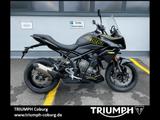 Triumph Tiger Sport 800  Sofort verfügbar - TRIUMPH TIGER SPORT 800