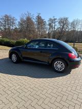 Volkswagen Beetle Design Automatik Fender - Volkswagen Beetle mit Benzin-Antrieb: Limousine, Automatik