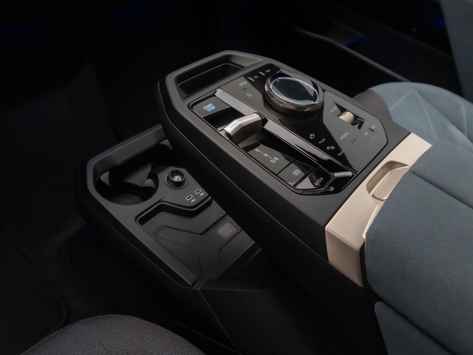 Fahrzeugabbildung BMW iX xD40 Sport AHK SkyLounge 360° DAB H/K 22Zoll