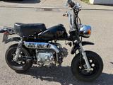 Lifan Monkey Nachbau (Tuning 70cc) - LIFAN MOTORRAD