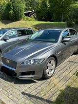 Jaguar XF 30D X260 - Jaguar XF X260